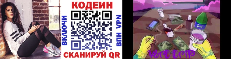 дарнет шоп  Краснослободск  Кодеин напиток Lean (лин) 